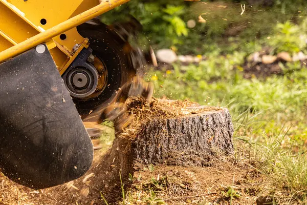 Stump Grinding